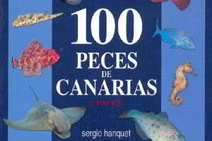 100 Fische der Kanaren Sergio Hanquet 100 peces de canarias buch tauchen kanarische inseln vorschau